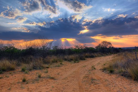 Crepuscular rays at Sunset near Waterberg Plateau