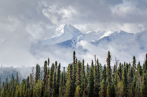 Mountain view in Robson valley