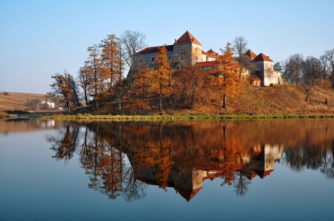 46 233 0009 Svirzh Castle RB