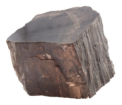 Tronco de árbol fosilizado, Arizona, Estados Unidos, 2021 01 05, DD 081 103 FS Alt