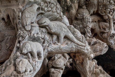 Carved tree with reliefs of dinosaur and other animals