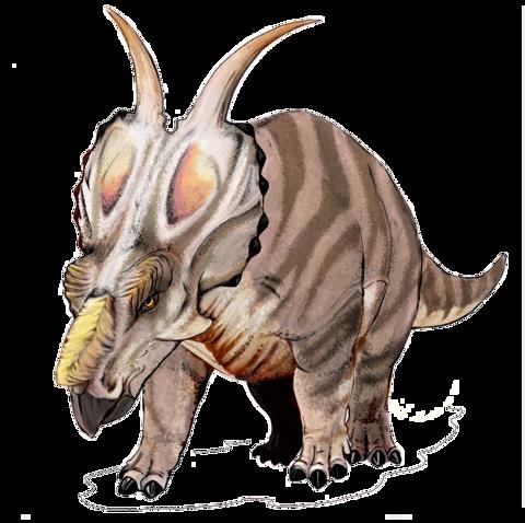 Achelousaurus dinosaur