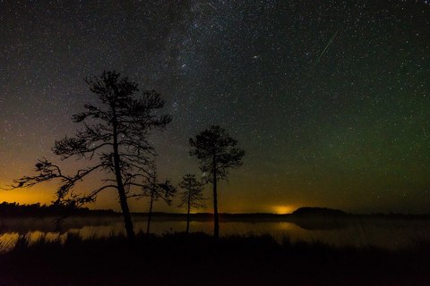 In the photo there is one Perseid, Milky Way and Andromega galaxy and light pollution on the horizon   Luhasoo bog in Estonia
