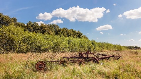 Antieke zwadhark, (long exposure photography) 07 08 2022. (d.j.b) 02