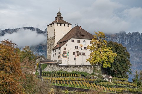 Grabs SG asv2022 10 Schloss Werdenberg img2