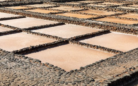 Antigua (Fuerteventura, Spain), Museo de las Salinas del Carmen, Kristallisierungsbecken    2025    7216