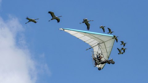 CH.VD.Bex 2007 09 02 Airshow 287 16x9 R 5120x2880