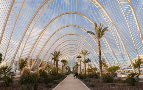 L'Umbracle, Valencia, Spain   Jan 2007