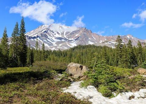 Mount Shasta as seen from Bunny Flat