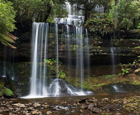 Russell Falls Mt Field National Park