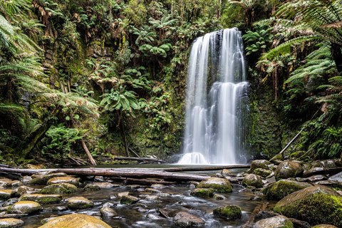 Beech Forest (AU), Great Otway National Park, Beauchamp Falls    2019    1271