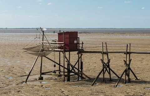 Carrelet, Esnandes, Charente Maritime, august 2015