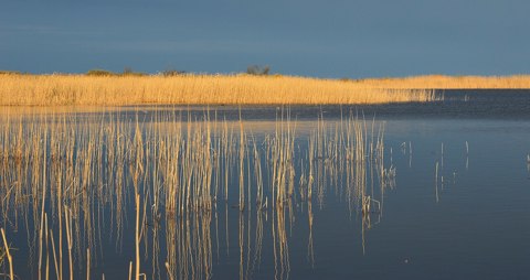 Hommikune Inahamne järv (ver 2)