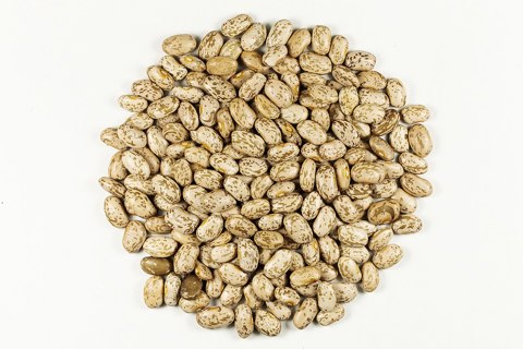 Pinto Beans Seeds