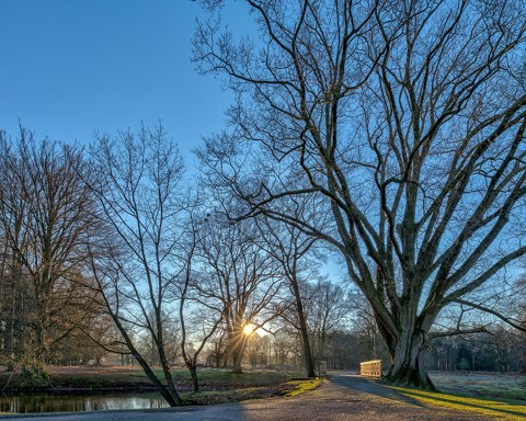 Dülmen, Wildpark    2019    3216 22