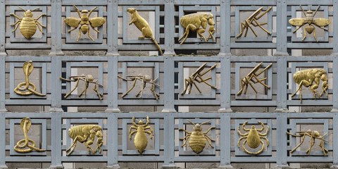 Gilded Vectors of Disease   Horizontal