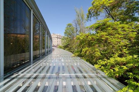 Brooklyn Botanic Garden New York May 2015 003