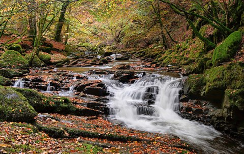 Birks of Aberfeldy (55085667062)