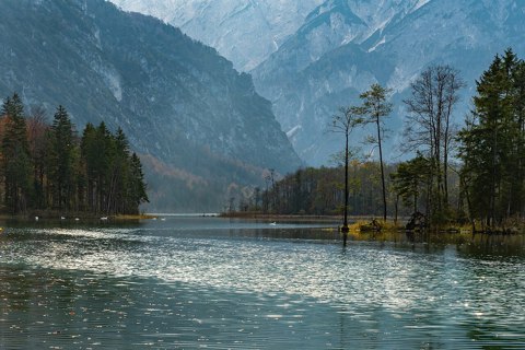 Almsee Nordbucht 4224