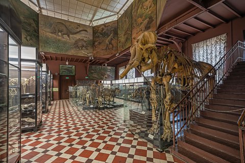 Moscow MSU Zoological Museum asv2021 07 img11