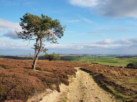 2014 Track on Fremington Edge